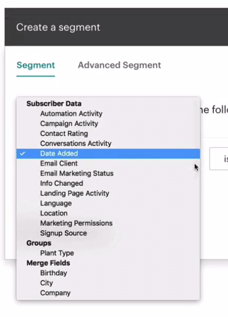 Mailchimp - segment options