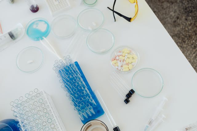 Reasons To Prioritize Drug Testing In Your Company's Policies 1 pexels karola g 8539653